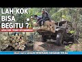 WANI NGEYEL | Hardtop 4x4 muat kayu sengon melibas tanjakan terjal