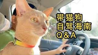 【Q\u0026A】带猫狗自驾海南：宠物友好酒店｜超强行李收纳｜乘船建议