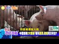 【全球政經周報】買陸股 撒4兆救市 已走出低點或短暫漲 券商屠夫接證監會釋何訊號 最新2數據揭通縮危機有變 imf預測中國經濟放緩2028年只剩這數字20240225 @中天財經頻道ctifinance