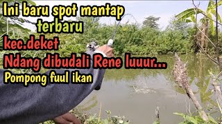 ini baru spot mantab!! Kali Mikael terbaru||ikannya fuul ganas-ganas