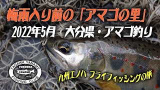 2022年5月 梅雨入り前の源流釣行　祖母・傾（大分県）の美渓でアマゴと遊ぶ　フライフィッシング