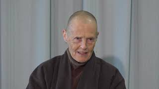 Right View: Understanding the Roots of Our True Happiness | Dharma talk by Sr Chân Đức, 2020 11 01