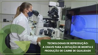 TECNOLOGIAS DE REPRODUÇÃO: A CHAVE PARA A ESTAÇÃO DE MONTA E PRODUÇÃO DE CARNE DE QUALIDADE