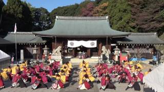 早稲田大学 東京花火　2016龍馬よさこい11/12（土）　護国神社