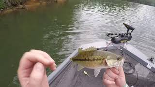 Suzuki 20hp Outboard (Out Doing Some Multi Species Fishing)