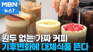 원두 없는 커피·코코아 없는 초콜릿…기후변화에 대체식품 뜬다 [MBN 뉴스7]