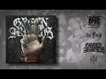Green Arrows - It Will Fall