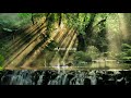 My Arabic Language [] Relaxing Nasheed  [] Muhammad Al Muquit (slowed+reverb)