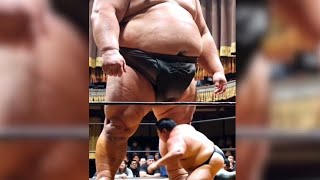 World's Biggest Wrestler Ever