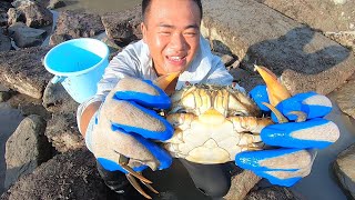 赶海遇见螃蟹老巢，小林徒手摸索被蟹王袭击，用两只手才斗得过它