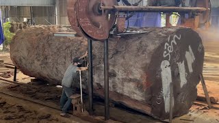 Amazing Woodworking Factory | Extreme Wood Cutting Sawmill Machines, Cheesy Wood Giant 1000 Year Old