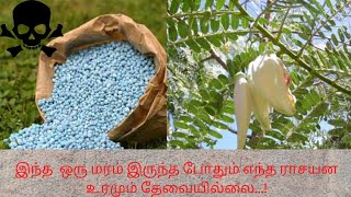 இந்த மரம் இருந்த போதும் எந்த உரமும் வேண்டாம் தமிழர் வேளாண்மையின் முன்னோடி |  |@இயற்கையோடுஇணைந்திருப்போம்