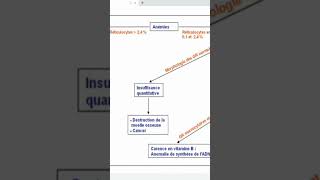 Types d'anémie #anémie #hématologie