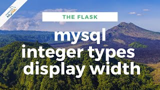 MySql Integer Types Display Width