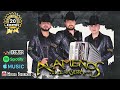 Los Alameños De La Sierra MEGA MIX Lo Más Chingon || Cumbias y Huapangos Para Bailar