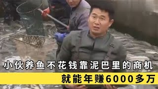 小伙養魚不花錢，全靠泥巴里的商機就年賺6000萬，他是如何做到的 #于途史紀 #古墓 #考古發現 #考古 #盜墓筆記