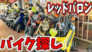 【SV650X】運命のバイクを探してレッドバロンへ!!【モトブログ】