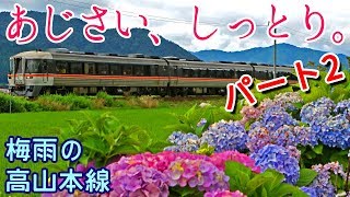 【ワイドビューひだと紫陽花！その2】高山本線しっとり梅雨撮り鉄！