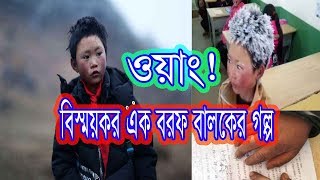 ওয়াং! বিস্বয়কর এক বরফ বালকের গল্প | The Ice Boy