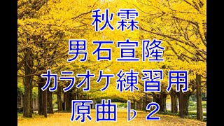 秋霖/男石宣隆　カラオケ練習用　原曲♭２