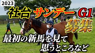 【一口馬主】2023社台サンデーG1募集馬の厩舎発表！社台のブリックスアンドモルタル産駒がいきなり新馬勝ち！さあどうする！【節約大全】vol.1084