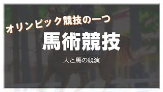 馬術ってどんな競技？～オリンピックでも特殊な種目～