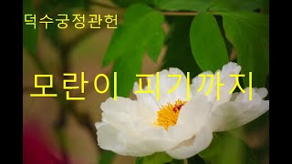 덕수궁 정관헌,  모란이 피기까지