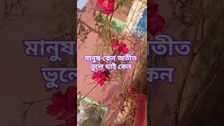 মানুষ অতীত মনে রাখে না, উপকারী উপকার ও #আলহামদুল্লিলহ #মানুষের #মানুষ #অতীত #উপকার #ভুলে #যাই