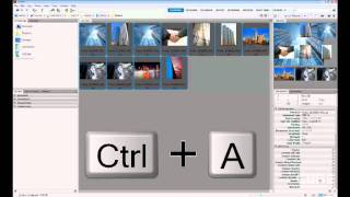 05. Bridge CS5 - Batch Processing
