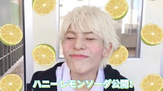 ハニレモなラウちゃん🍋