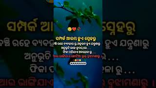 ତତେ ବିଶ୍ଵାସ କଲି ମୁଁ ❤️ ଯେତେଥର 💔#odia #song short video