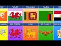 List of Country Flags That Feature Animals on Them