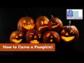 Pumpkin Carving at the Tyrrell County Public Library-2020