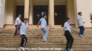 Joint Movement Dance Exercise