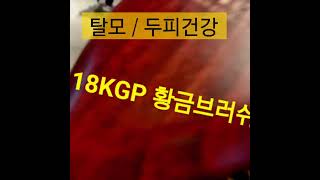 국내최초 특허브러쉬 \