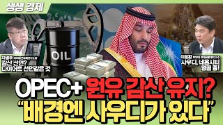 [생생경제] OPEC+ 원유 감산 유지? “배경엔 사우디가 있다”_240530