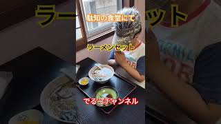 岐阜 土岐市 駄知 金 みそ豚丼 裏メニュー チャーシュー丼 ラーメン 食堂 町