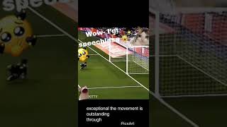 Black cat scores a goal 😽👏 (unexpected)