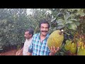 jayaraj warrier visit ayur jack farm