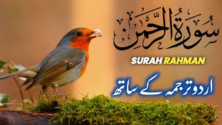 SURAH RAHMAN TARJUMA KE SATH QARI AL SHAIKH ABDUL BASIT ABDUL SAMAD | SURAH AL RAHMAN | EPI - 345