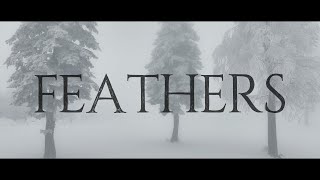 Dim Gray - Feathers (lyric video)