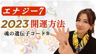 【開運2023年の運勢】魂の遺伝子コード®︎＜エナジー7番＞ ｜魂の遺伝子コード®︎・神社マイスター有里