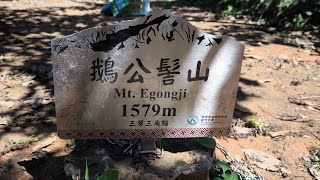 鵝公髻山雲霧步道O型 前面很休閒 後段很精實 精剪版 20240810 #hiking #新竹五峰 #中級山 #小百岳 #五峰天際線