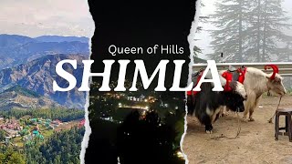 Shimla Family Road Trip - 3 Days of Scenic Beauty and Adventure | Shimla The Queen of Hills