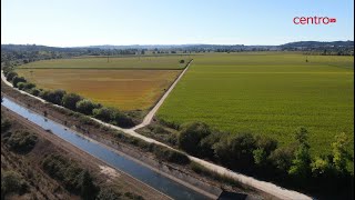 Agricultores do Baixo Mondego exigem a construção de três barragens para produzir energia limpa