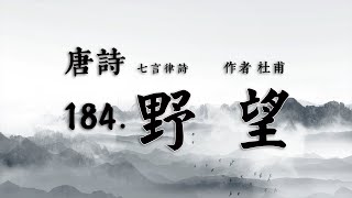 唐詩第184首-野望