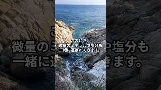 なぜ海水はしょっぱい？ #1分雑学 #マメ知識 #海水 #雑学