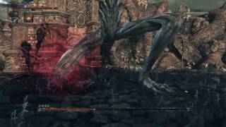 血源詛咒BloodBorne - 惡夢邊境BOSS亞彌達拉之鋸肉刀近身戰略