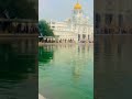 #waheguru #ji #khalsa #gurbani #waheguruji #sikh #punjab #punjabi #sikhism #amritsar #wmk #goneviral