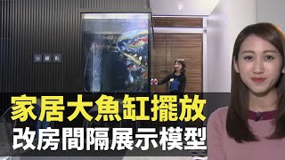 家居大魚缸擺放 改房間隔展示模型 TVB  家居．築則 曾曉婷